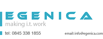 egenica - making i.t. work